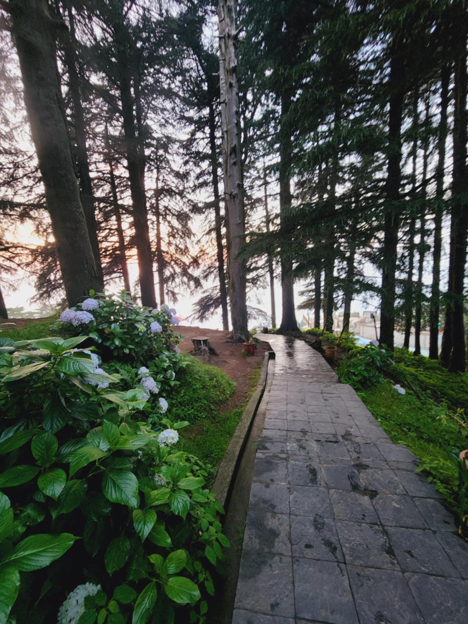 Smarthill Kalatop,dalhousie Hotel