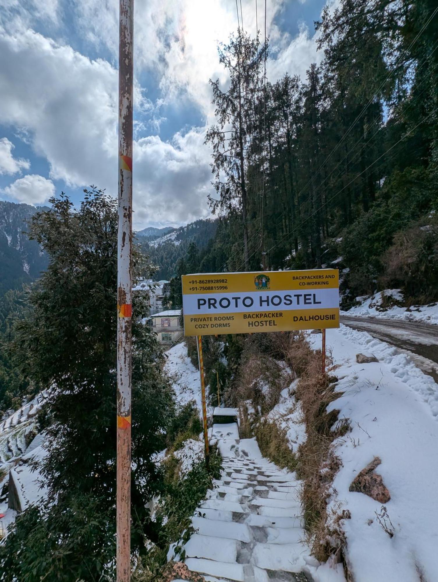 Proto * Dalhousie