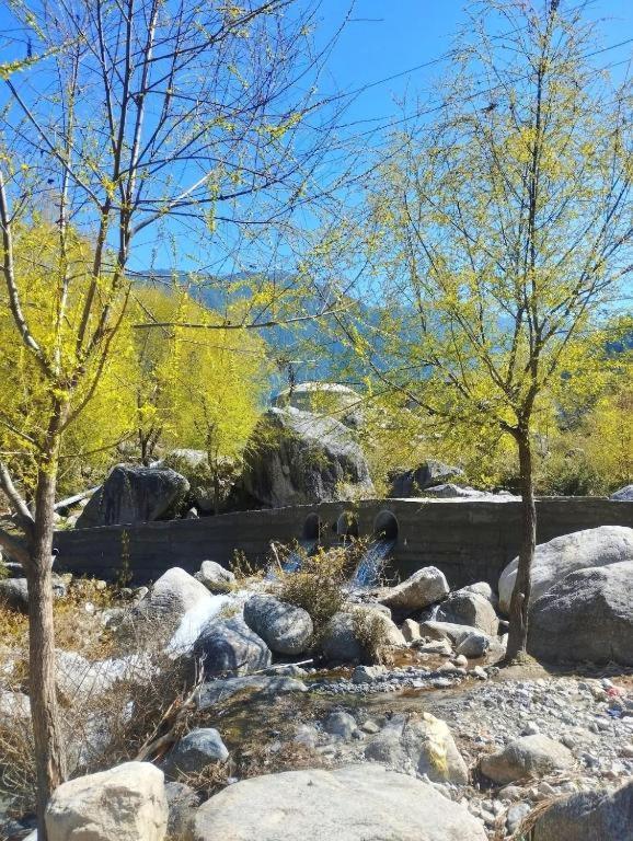 Rock Mountain Premium Near Rock Garden