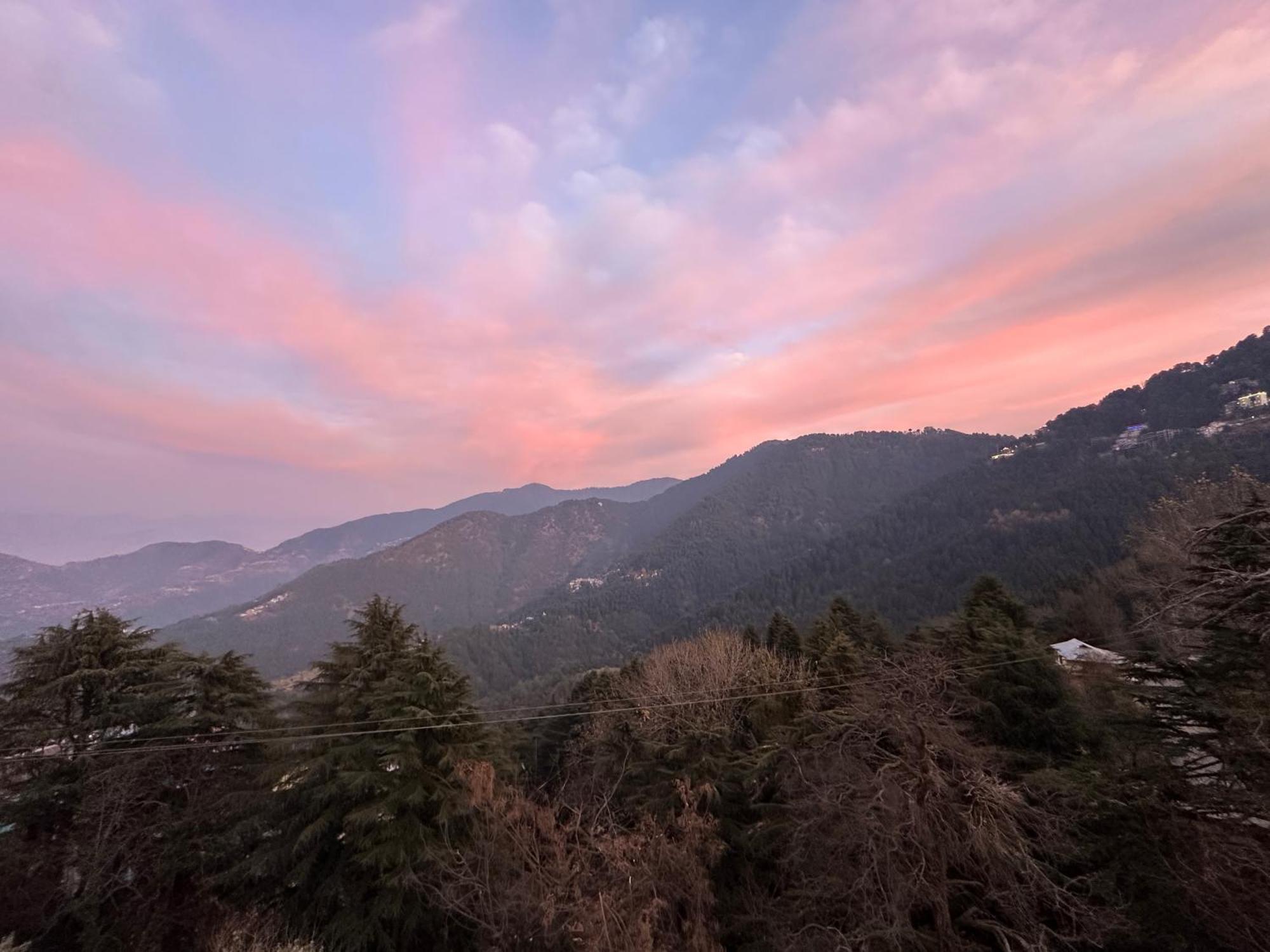 Western Nest International Dalhousie