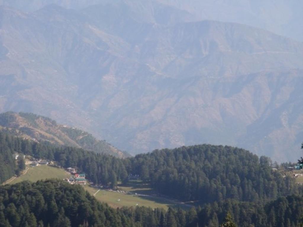 Alps Hotel