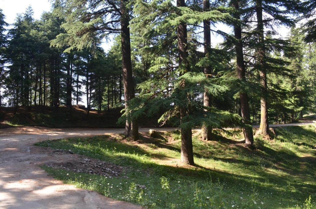 Smarthill Kalatop-nature's Heaven Hotel Dalhousie