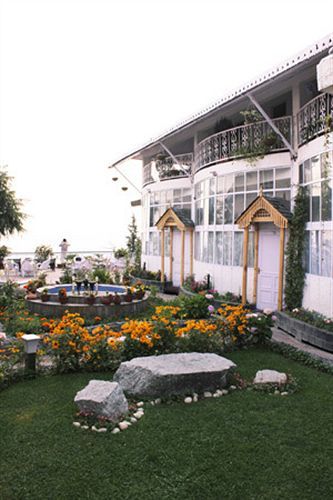 Mount View Dalhousie