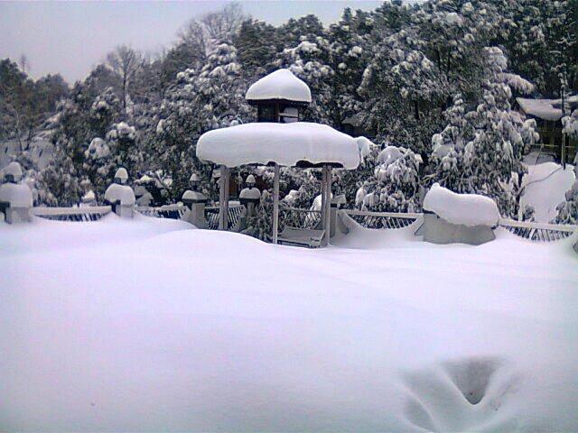Heights Dalhousie