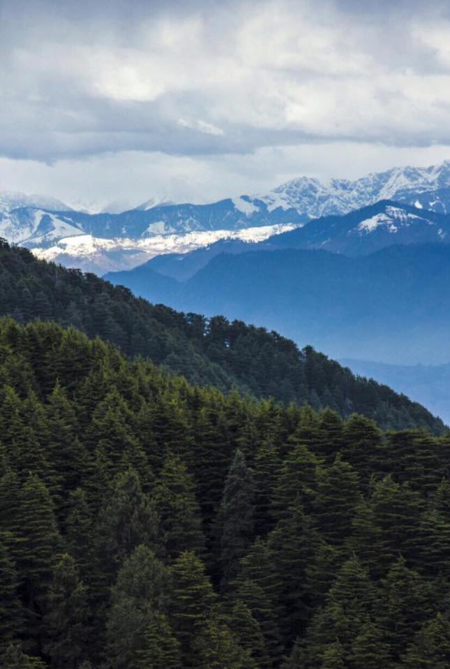 Birdwood Holiday home Dalhousie