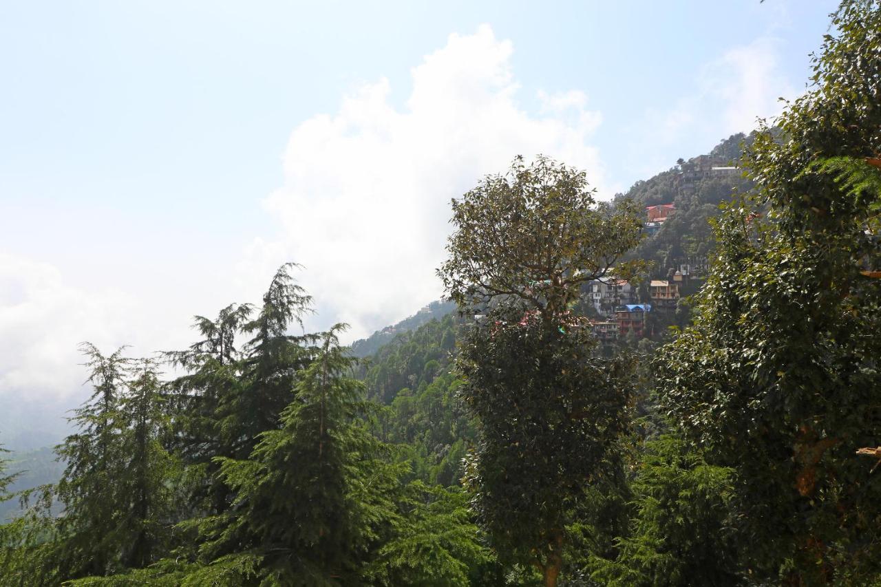 Oyo 9452 Moonlight Dalhousie