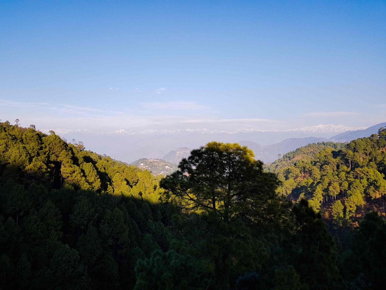 Homely Abode 3* Dalhousie