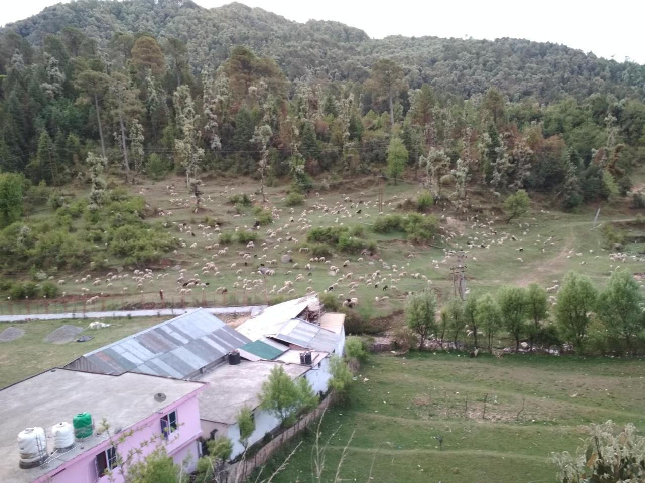 Bholenath *