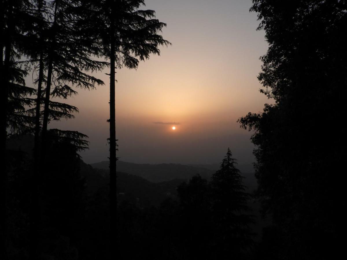 Sandringham Hideout - A Wandertrails