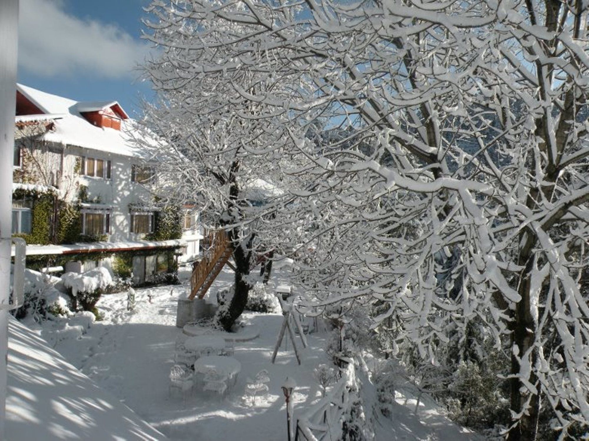 Alps Dalhousie