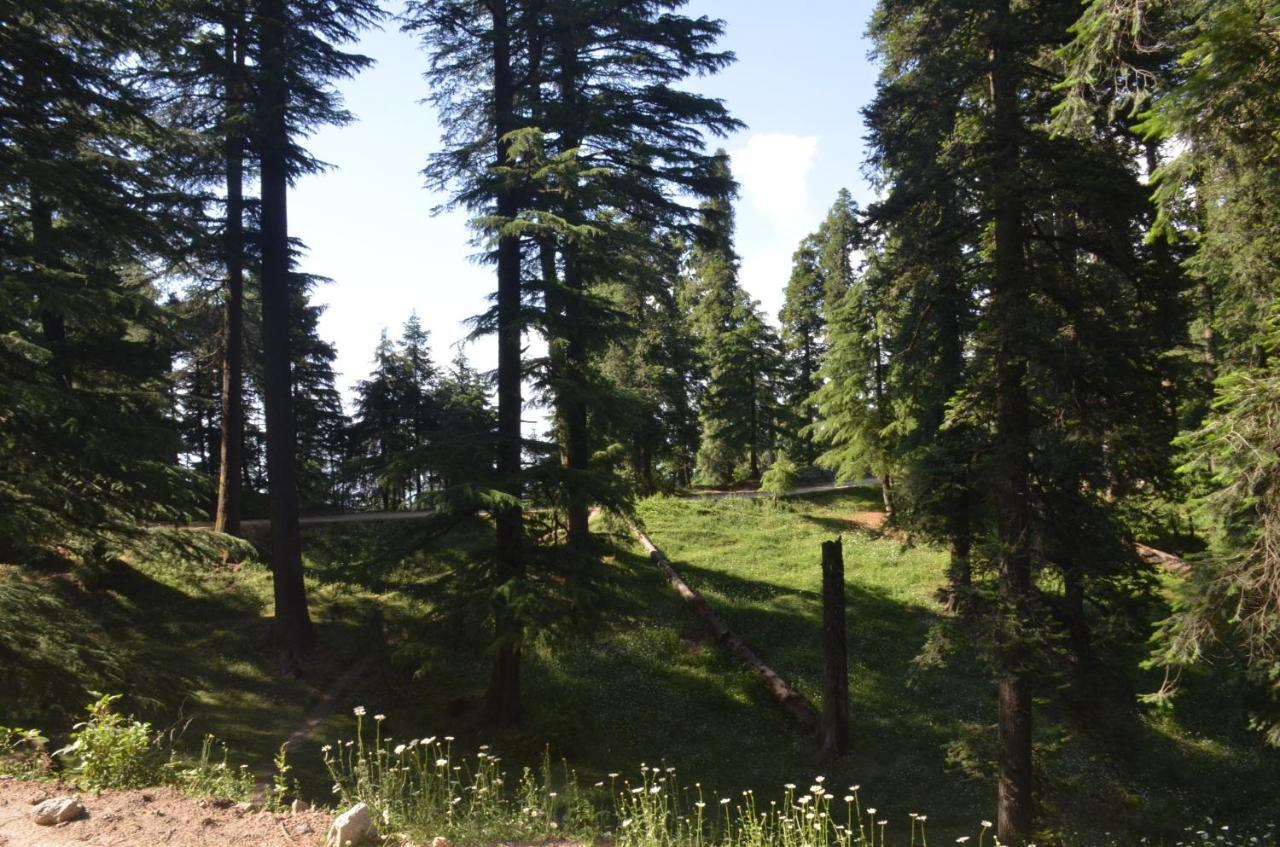 Hotel Smarthill Kalatop-nature's Heaven Dalhousie