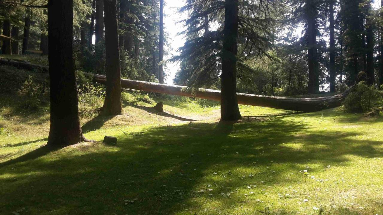Smarthill Kalatop-nature's Heaven Hotel